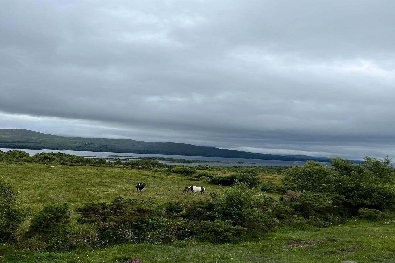 Hotel Kenmare House Esterno foto