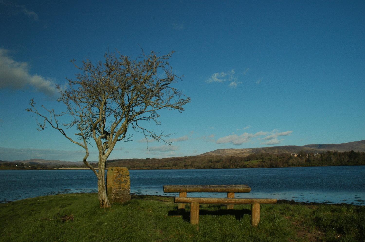 Hotel Kenmare House Esterno foto